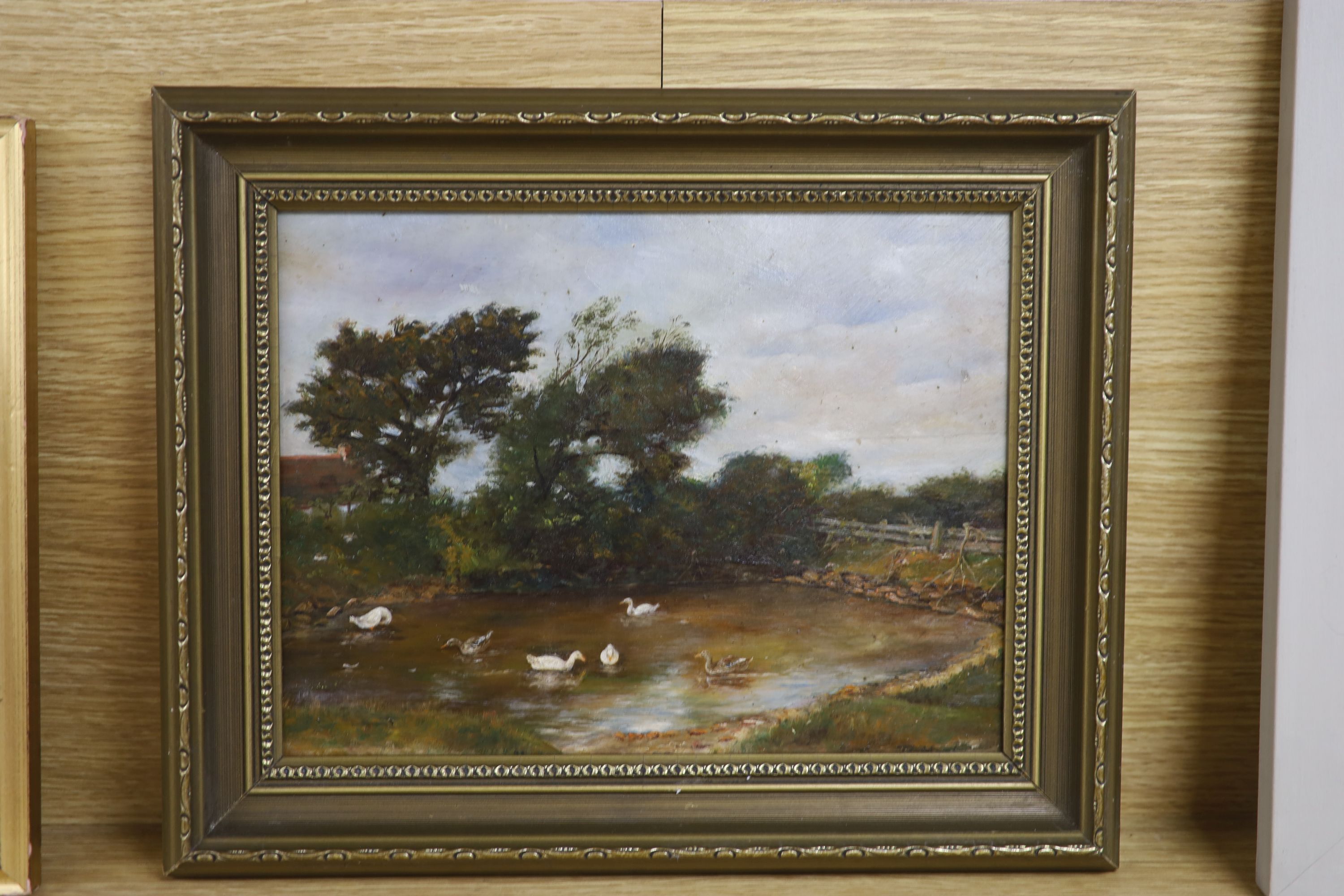 D. Hepburn, oil on board, View of a duck pond, signed, 21 x 28cm